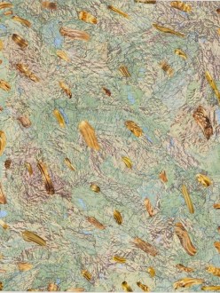 Green and Gold Collage